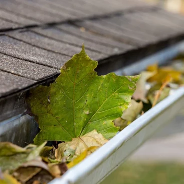 abbotsford pressure washing